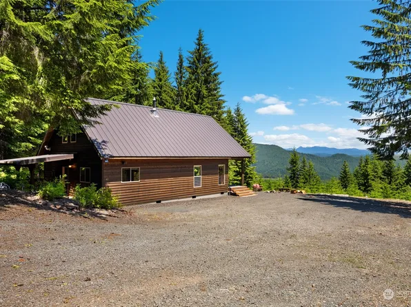 82 Mount St Helens Drive, Cougar, WA 98616