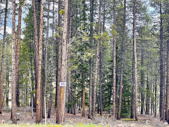 158 Aspen Street LOT 35, Alma, CO 80420