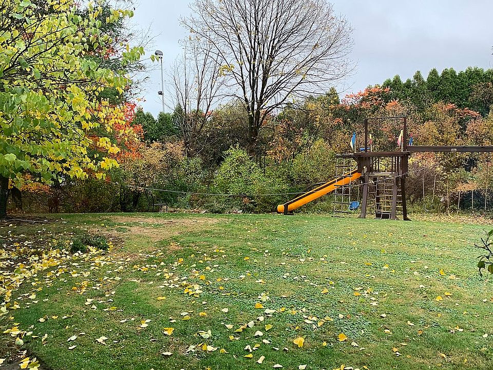 Backyard as seen from inside