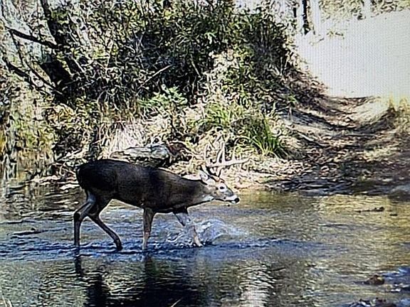 3rd image of Buck Creek Rd
