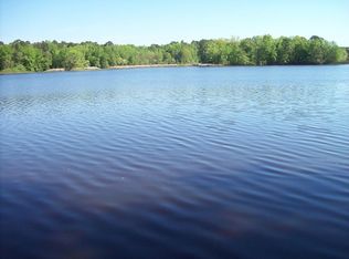 1398 Tom Charles Rd, Summerton, SC 29148