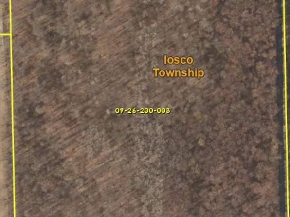 0 W Coon Lake Rd, Webberville, MI 48892