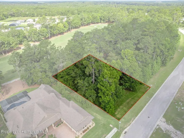 19682 Sterling Bluff Way, Brooksville, FL 34601