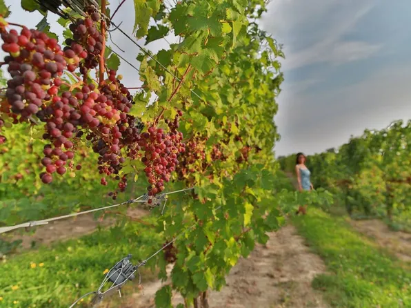 45 Maple St APT 3H, Norwalk, CT 06850