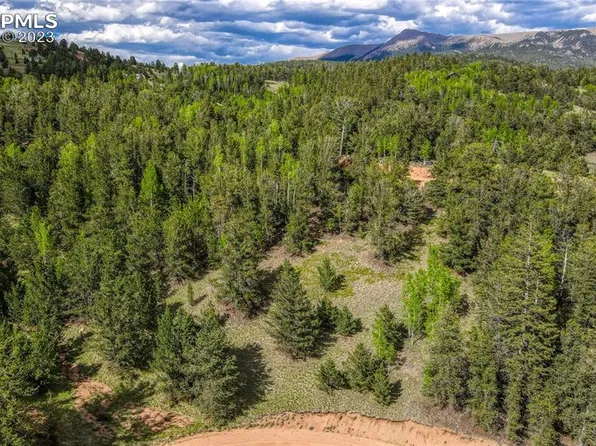 433 Brown Bear Dr, Cripple Creek, CO 80813