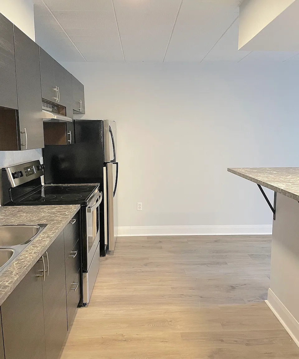 1 bed, $1,181 — Photo 3