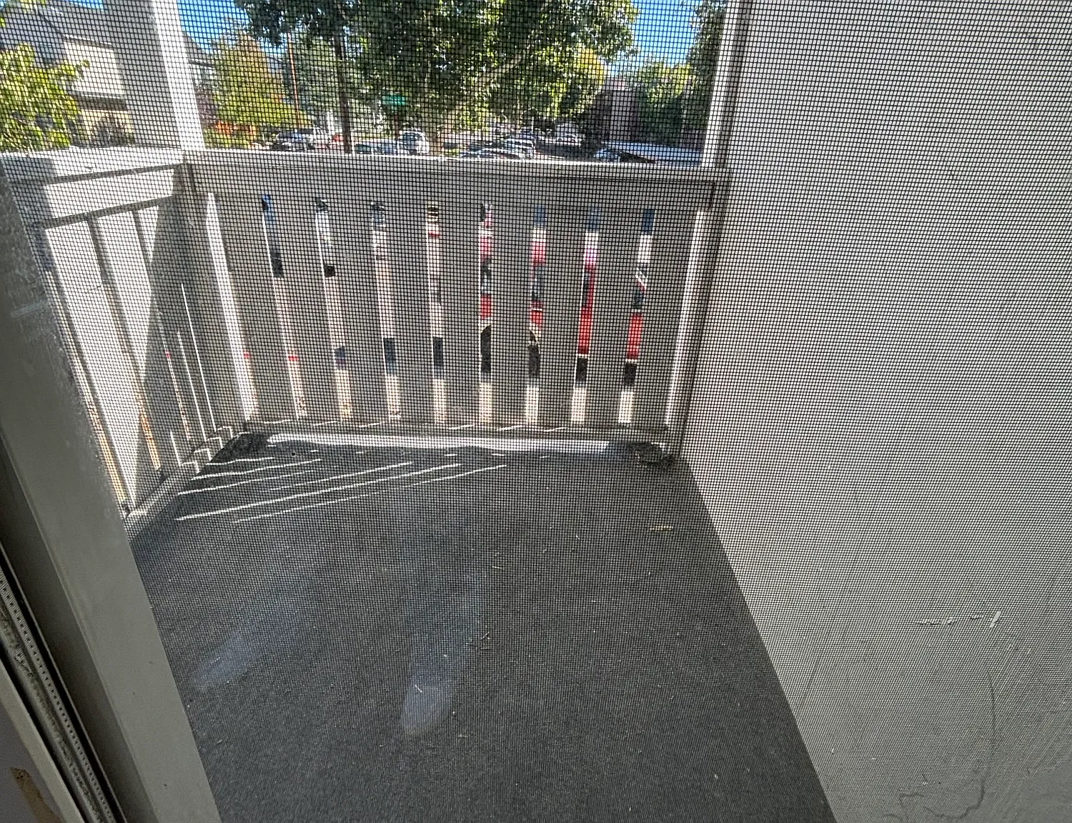 1 bed, 858 sqft, $1,100 — Photo 4
