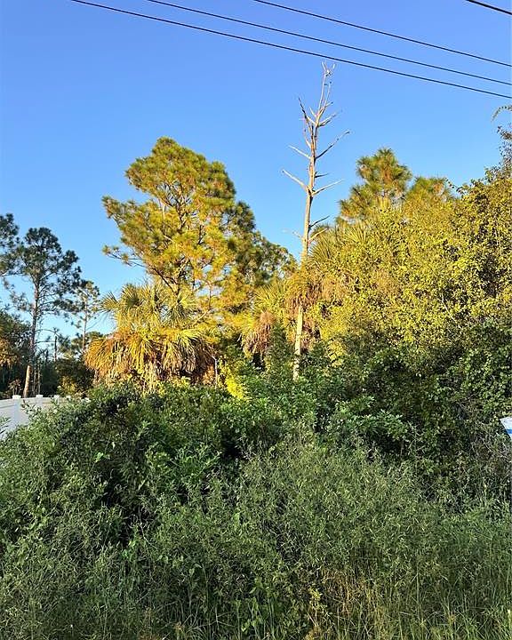 2nd image of Colorade Avenue Lot #14