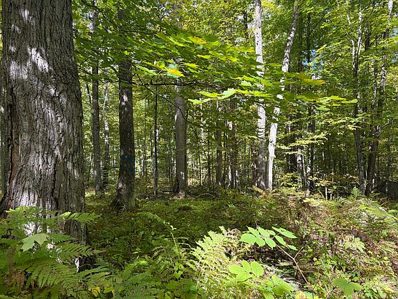 3rd image of Near Ben Nichols Rd