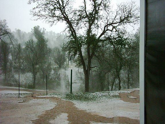 Lookin Out The Back Door On JUNE 11 2009 