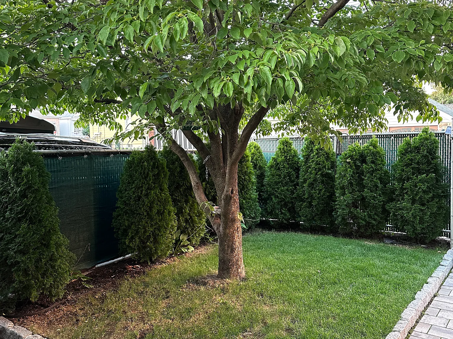 Madeline Ave, Garfield — Photo 3