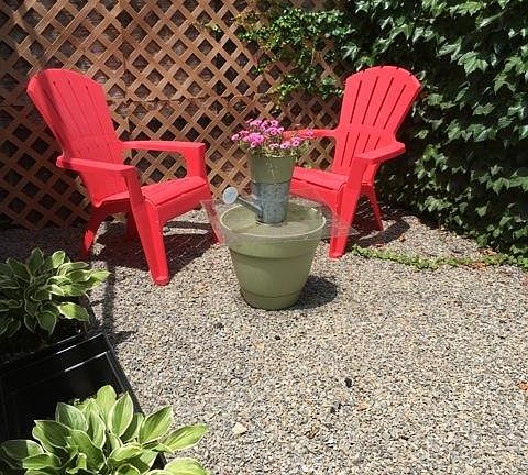 Back yard