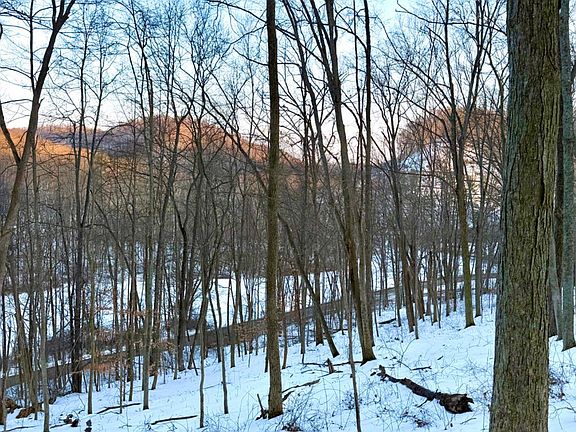 3rd image of 0 Carrs Run Rd