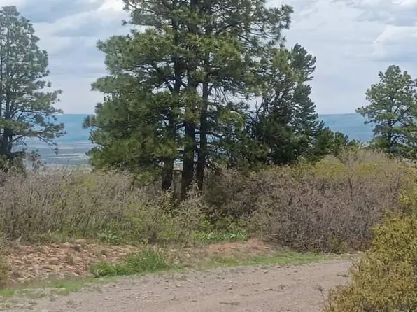 N Avalon Dr Lot 6, Norwood, CO 81423