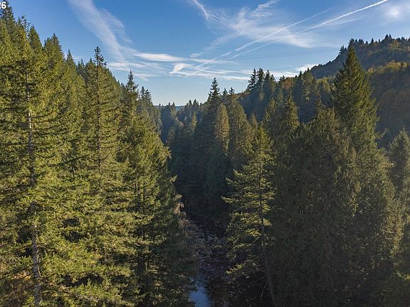 2nd image of 0 N Fork Rd