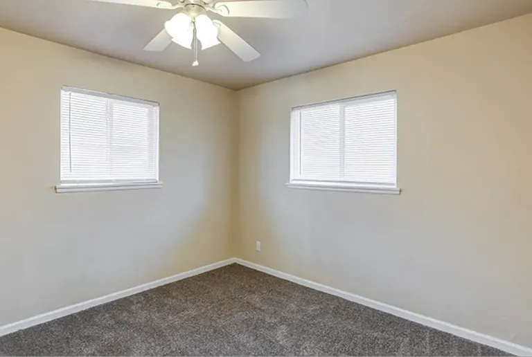 Plush Carpet & Ceiling Fan in Bedroom Plush Carpet & Ceiling Fan in Bedroom