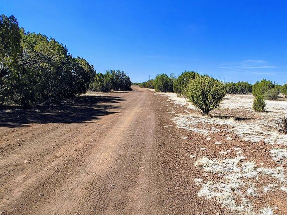 3rd image of 1638 Trinity Pl