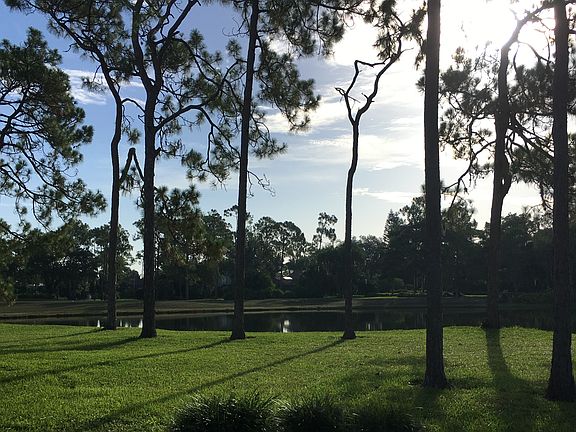 3rd image of 13102 Pond Apple Dr W