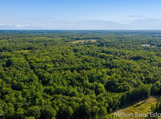 10788 N Green Rd, Morley, MI 49336