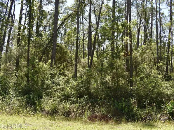 905 Lockenbie Pl, Dauphin Island, AL 36528