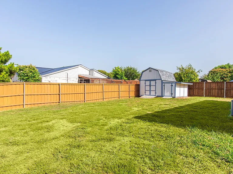 backyard