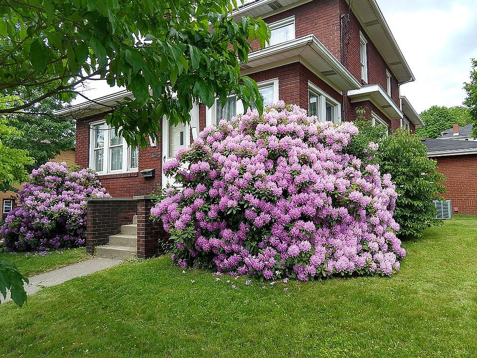2nd image of 362 State St