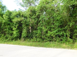 238 Millican Rd, Palatka, FL 32177