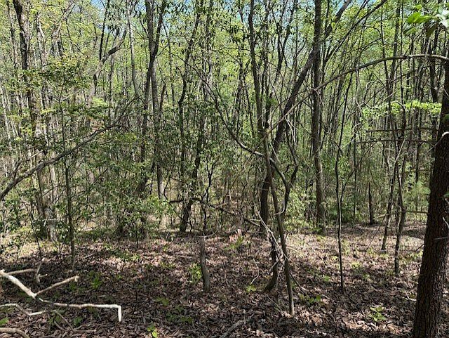 2nd image of LOT 5 Marjorie Ave