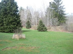great land-pond, berry bushes
