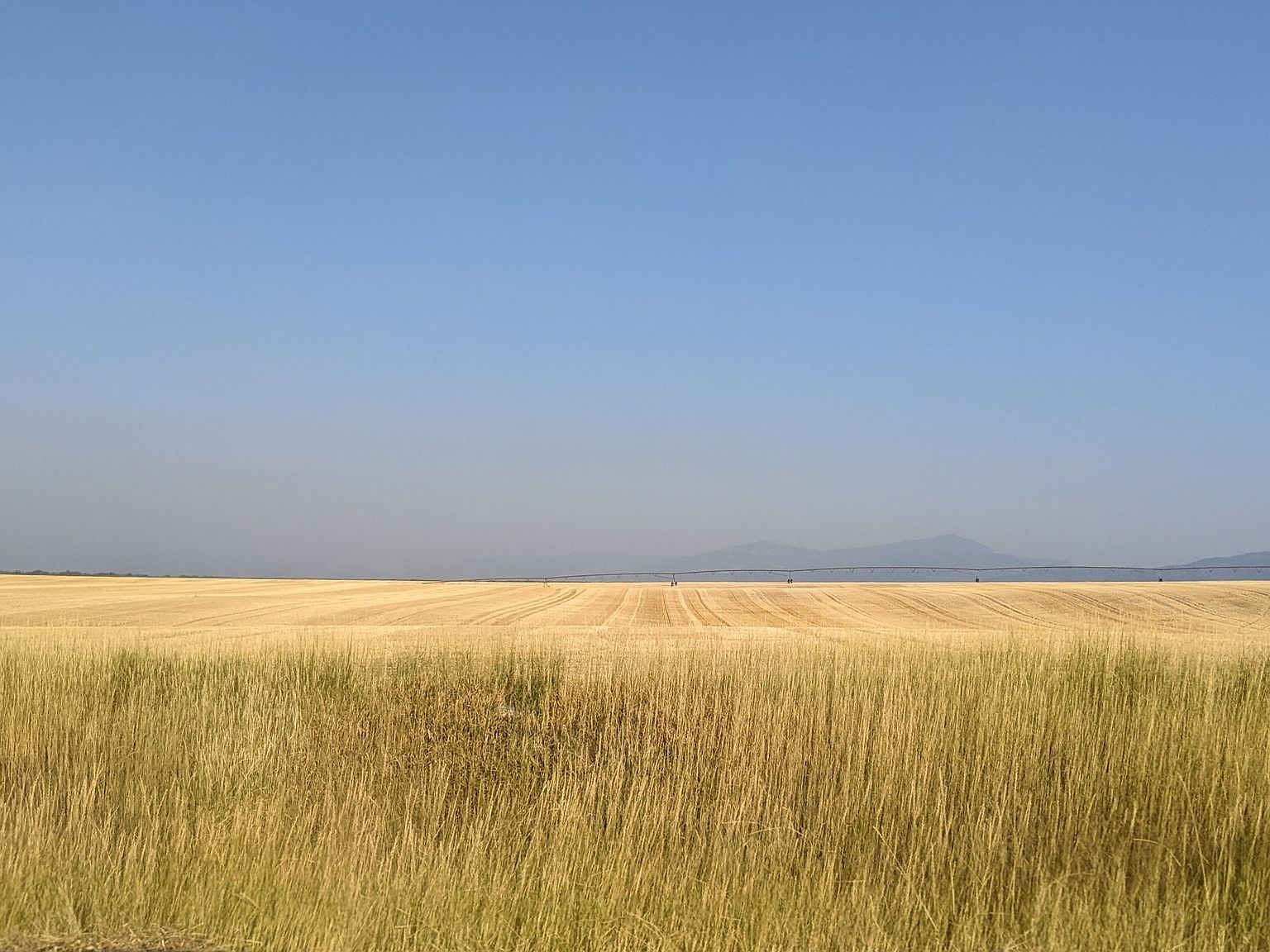 Gooch Hill Rd, Bozeman, MT 59718 Zillow