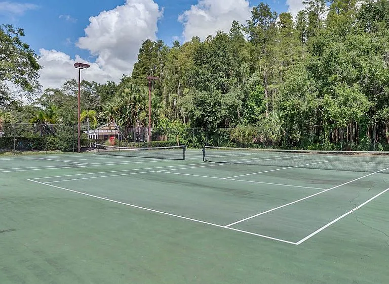 The Pointe at Carrollwood — Photo 27