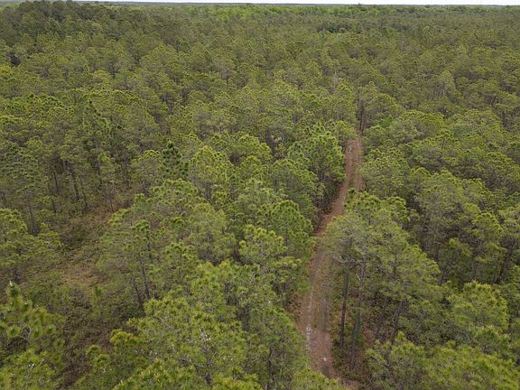 4th image of 0 Buckshot Rd