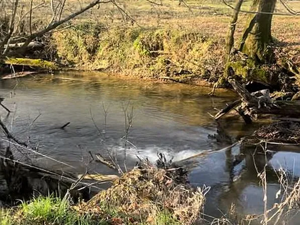 851 Elder Ln, Kodak, TN 37764