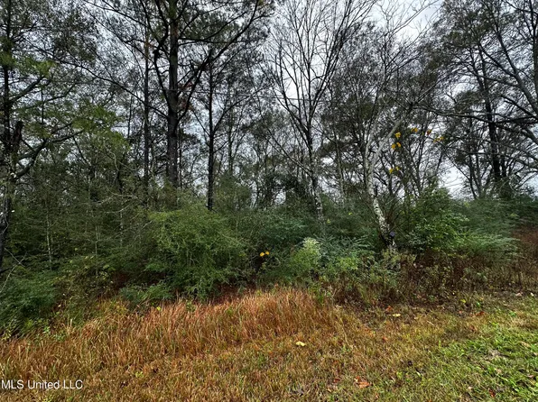 Jackson County Line Rd #10ACRE, Lucedale, MS 39452