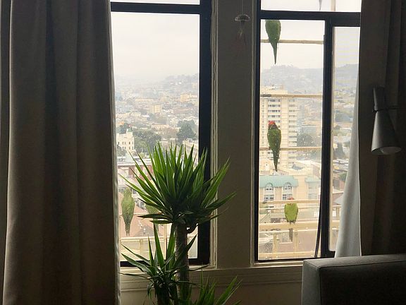 3rd image of 2045 California St APT 403