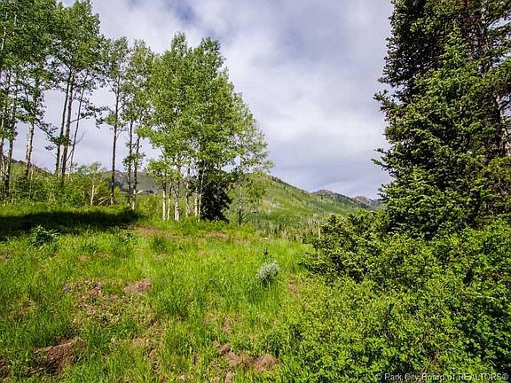 2nd image of 235 White Pine Canyon Rd #235