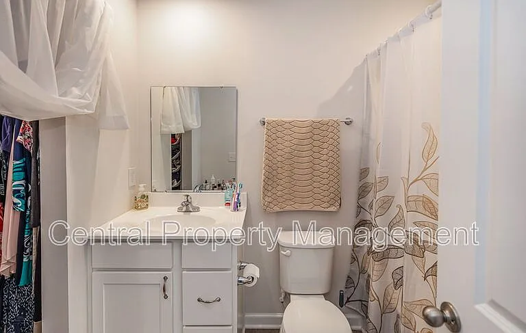 225 Coldwater Creek Ct — Photo 18