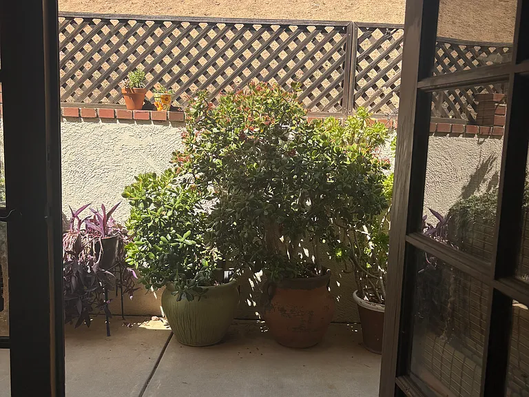 33233 1/2 Canyon Quail Trl #1 — Photo 10