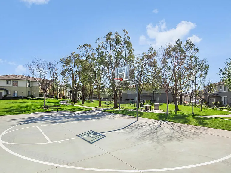 Community Basketball Court Near Picnic Tables and Walking Trails