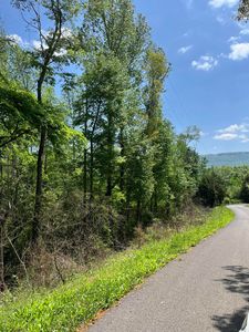 LOT 17 Jack Smith Rd, Dunlap, TN, 37327