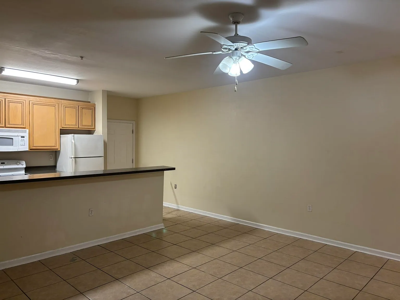3 bed, 1200 sqft, $1,400 — Photo 3