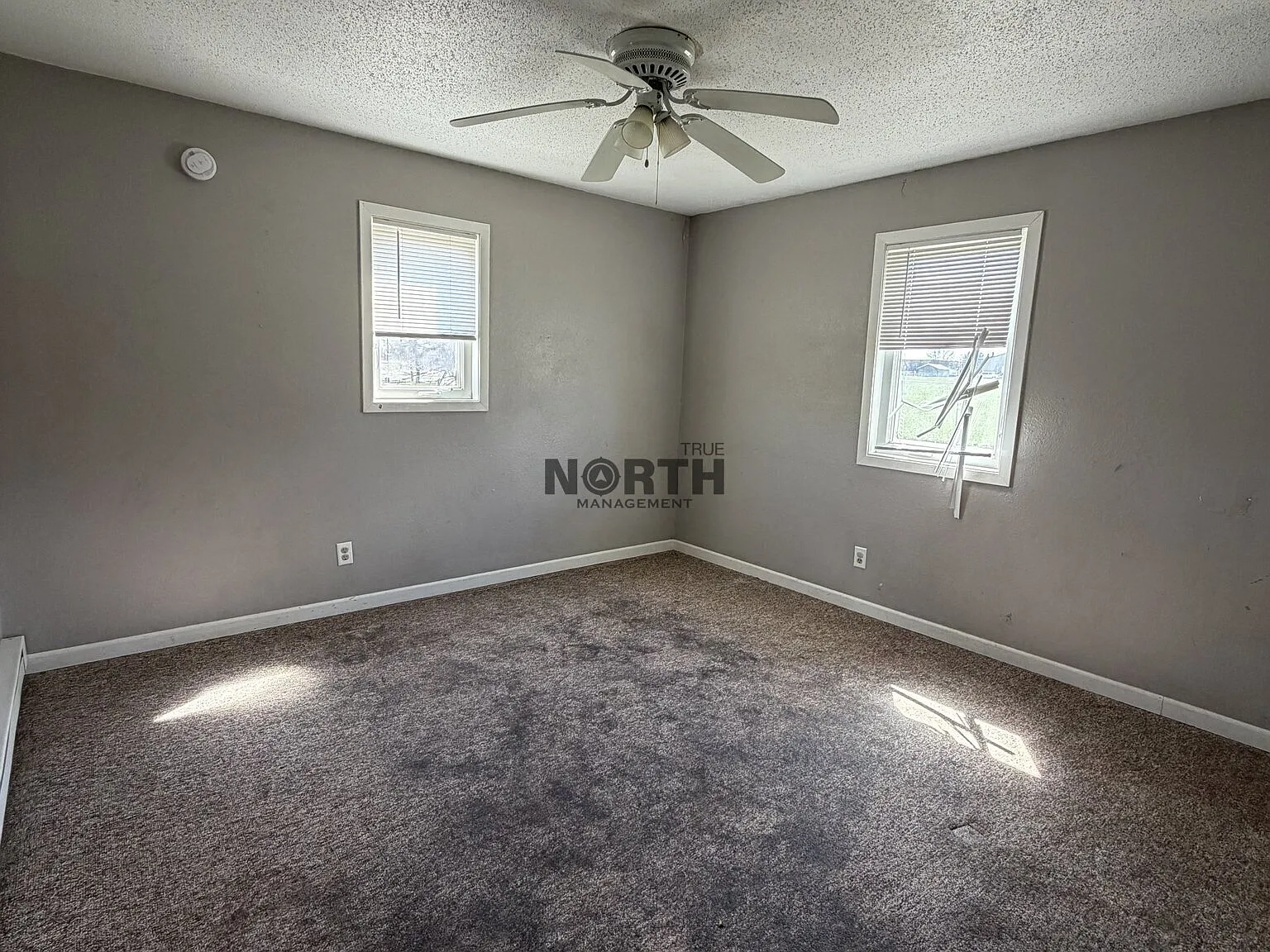 3 bed, $950 — Photo 3