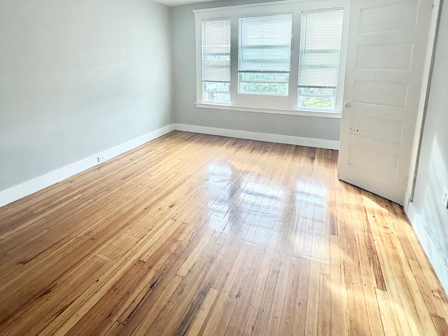 3 bed, 800 sqft, $1,650 — Photo 3