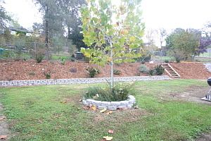 5th image of 4625 Deer Creek Ave