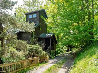 65 Snow Run Rd, Davis, WV 26260