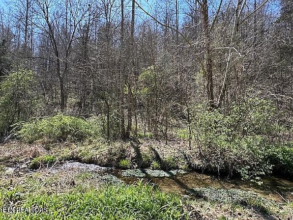 4th image of 188 Hamblin Branch Rd