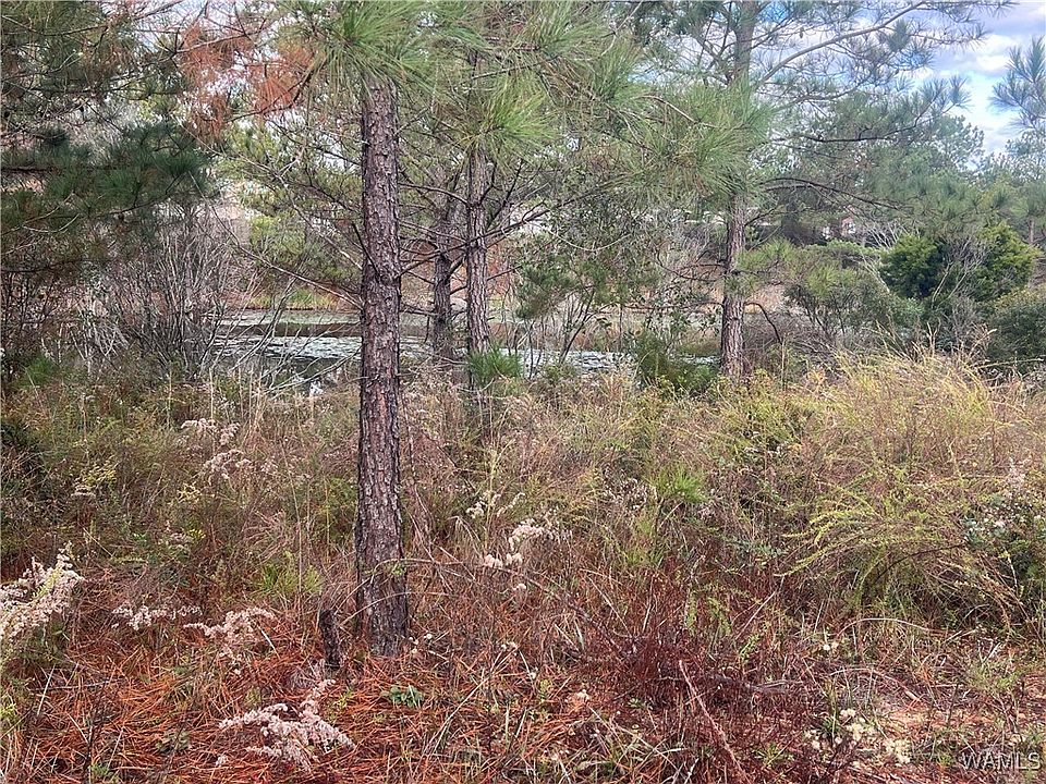 2nd image of 100 Crimson Ridge Rd