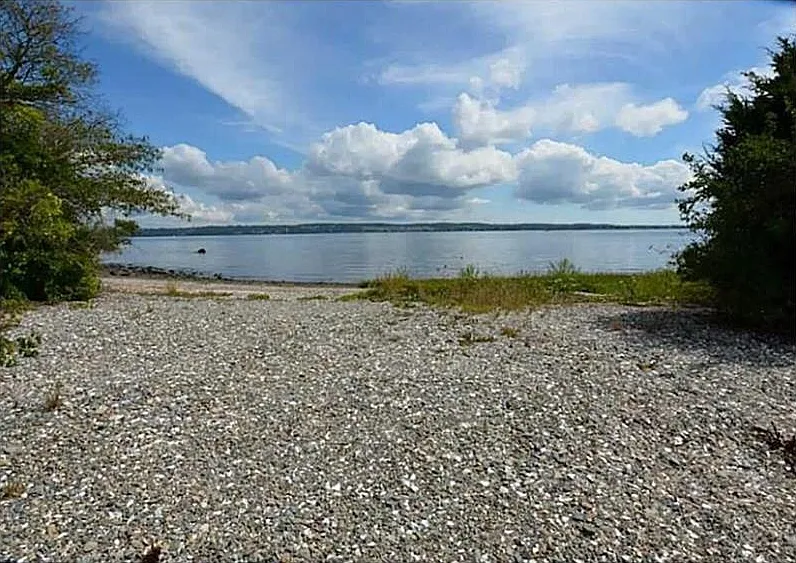 Weetamoe — Photo 2