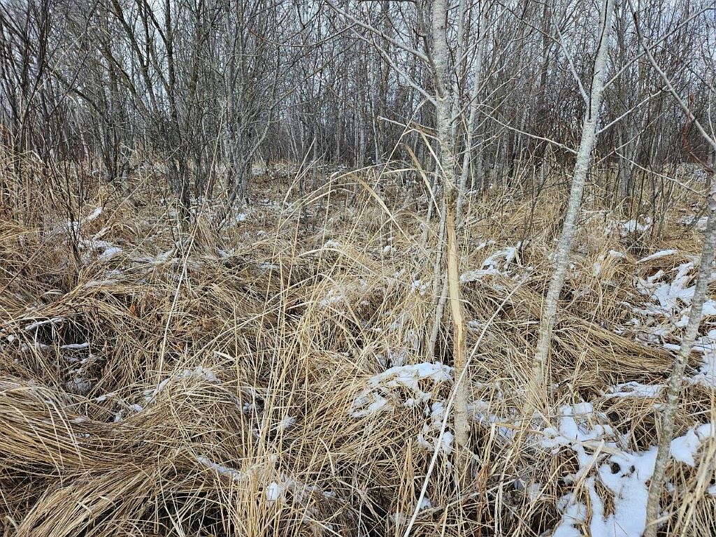 Tbd 240th St, Shevlin, MN 56676 Zillow