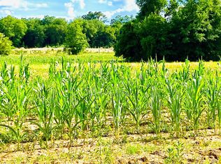 Tyson Rd, Monticello, FL 32344